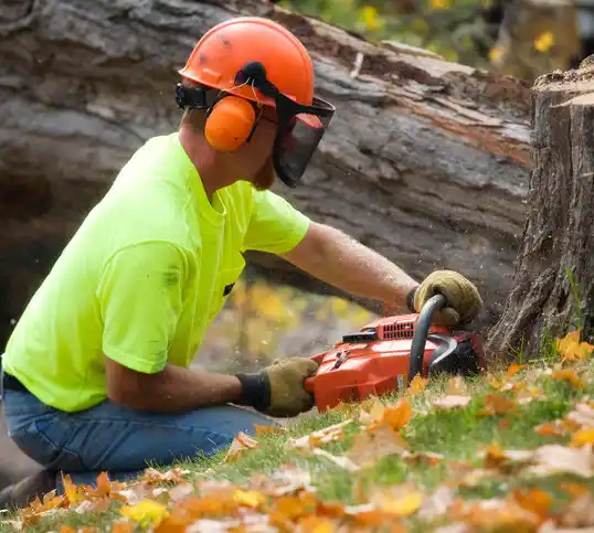 tree services New Roads